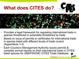 What does CITES do?	


•  Provides a legal framework for regulating international trade in
species threatened or potentially threatened by trade
•  Based on issue of permits or certificates for international trade
in species listed with different levels of trade control
(Appendices 1-3)
•  Each Country's Management Authority issues permits &
compiles annual reports on their international trade in CITESlisted species for UNEP/WCMC CITES Trade Database
THINKING beyond the canopy

 