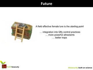 biosecurity built on science
Future
A field effective female lure is the starting point
… integration into Qfly control practices
… more powerful attractants
… better traps
 