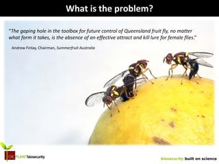 biosecurity built on science
What is the problem?
“The gaping hole in the toolbox for future control of Queensland fruit fly, no matter
what form it takes, is the absence of an effective attract and kill lure for female flies.”
Andrew Finlay, Chairman, Summerfruit Australia
 