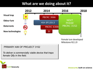 biosecurity built on science
What are we doing about it?
PBCRC 3066
HIA SF12013
PBCRC 63086 (PhD)
SI
Visual trap
Odour lure
Deterrents
New technologies
Female lure developed
Milestone R2.1.9
NEXT
PHASE
PBCRC 3152
To deliver a commercially viable device that traps
female Qfly in the field.
PRIMARY AIM OF PROJECT 3152
 