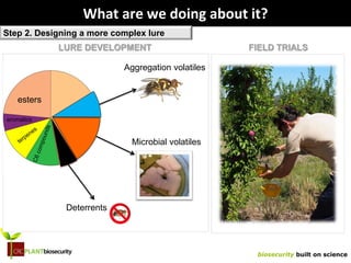 biosecurity built on science
What are we doing about it?
Step 2. Designing a more complex lure
?
Aggregation volatiles
Microbial volatiles
Deterrents
aromatics
esters
LURE DEVELOPMENT FIELD TRIALS
 