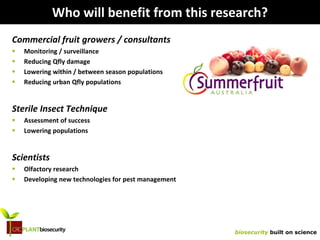biosecurity built on science
Who will benefit from this research?
Commercial fruit growers / consultants
 Monitoring / surveillance
 Reducing Qfly damage
 Lowering within / between season populations
 Reducing urban Qfly populations
Sterile Insect Technique
 Assessment of success
 Lowering populations
Scientists
 Olfactory research
 Developing new technologies for pest management
 