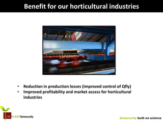 biosecurity built on science
Benefit for our horticultural industries
• Reduction in production losses (improved control of Qfly)
• Improved profitability and market access for horticultural
industries
 