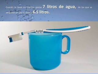 Cuando te lavas los dientes, gastas   7 litros de agua,   de los que se

desperdician por lo menos   6.5 litros.
 