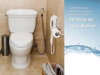 Cuando le jalas al
escusado, se llegan a
desperdiciar hasta

20 litros de
agua diarios.
 