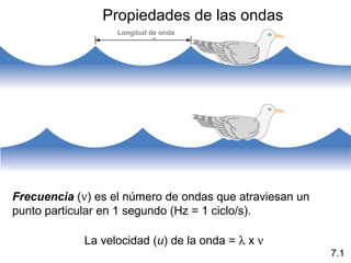 Propiedades de las ondas
Frecuencia (ν) es el número de ondas que atraviesan un
punto particular en 1 segundo (Hz = 1 ciclo/s).
La velocidad (u) de la onda = λ x ν
7.1
Longitud de onda
 