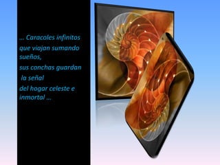 … Caracoles infinitos
que viajan sumando
sueños,
sus conchas guardan
la señal
del hogar celeste e
inmortal …