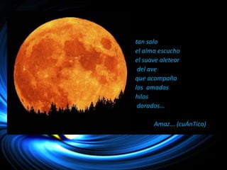 tan solo
el alma escucho
el suave aletear
del ave
que acompaña
los amados
hilos
dorados...
Amaz... (cuÁnTico)
 