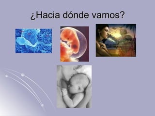 ¿Hacia dónde vamos? 