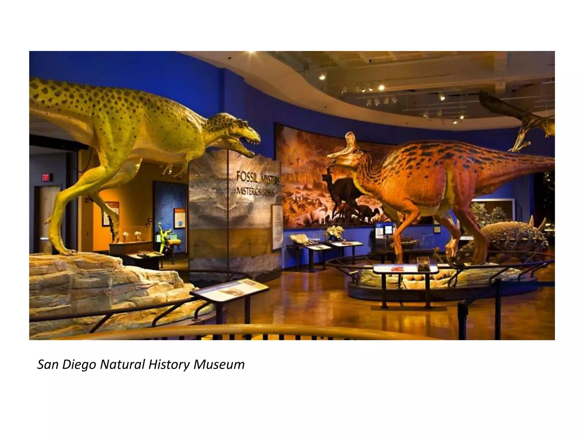 San Diego Natural History Museum
 