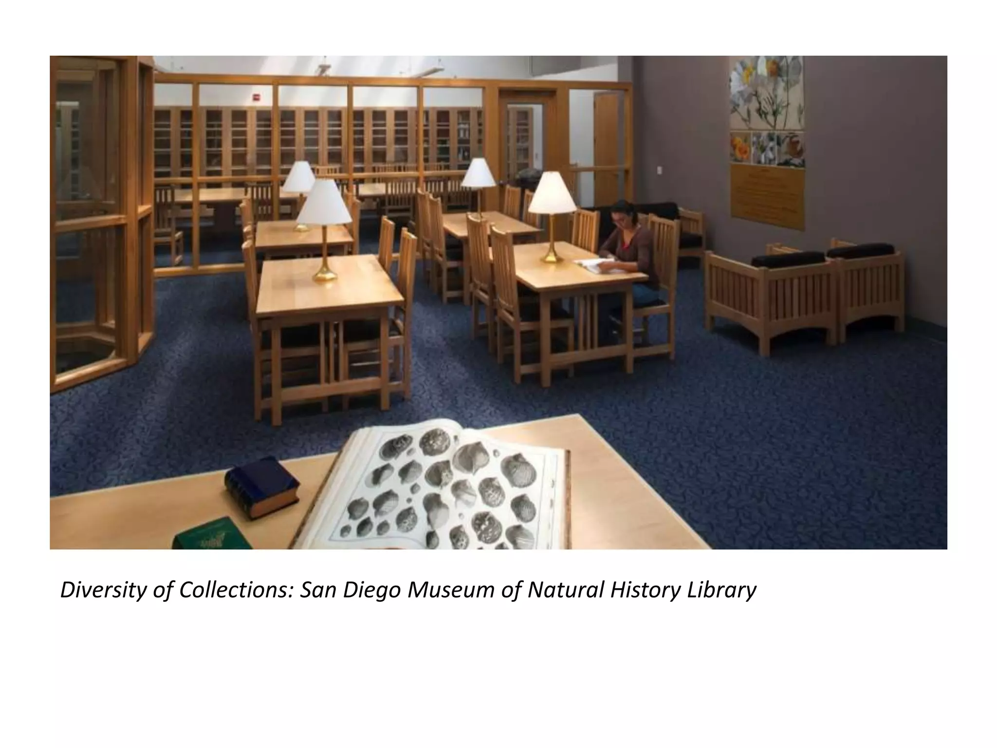 Diversity of Collections: San Diego Museum of Natural History Library
 