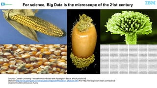 @pieroleo
Source:  Cornell University -­ Maize kernal infected with  Aspergillus flavus,  which produced
aflatoxin.http://www.plantpath.cornell.edu/labs/milgroom/Research_aflatoxin.html And  http://www.special-­clean.com/special-­
clean/en/mold/mold-­lexicon-­1.php
For  science,  Big Data  is the  microscope  of  the  21st  century
 