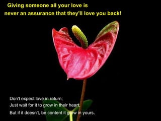 Giving someone all your love is never an assurance that they'll love you back!   Don't expect love in return;   Just wait for it to grow in their heart, But if it doesn't, be content it grew in yours.   