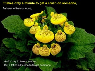 It takes only a minute to get a crush on someone,   An hour to like someone, And a day to love someone, But it takes a lifetime to forget someone. 