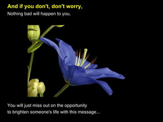 And if you don't, don't worry,    Nothing bad will happen to you,  You will just miss out on the opportunity  to brighten someone's life with this message... 