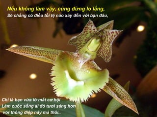 Nếu không làm vậy, cũng đừng lo lắng, Sẽ chẳng có điều tồi tệ nào xảy đến với bạn đâu,   Chỉ là bạn vừa lỡ mất cơ hội Làm cuộc sống ai đó tươi sáng hơn với thông điệp này mà thôi..   