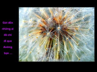 Gửi đến  những ai  đã chỉ  đi qua  đường  bạn … 