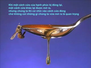 Khi một cánh cửa của hạnh phúc bị đóng lại,  một cánh cửa khác lại được mở ra,  nhưng chúng ta thì cứ nhìn vào cánh cửa đóng  chứ không coi những gì chúng ta vừa mở ra là quan trọng 