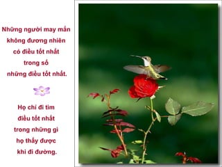 Những người may mắn  không đương nhiên  có điều tốt nhất  trong số  những điều tốt nhất. Họ chỉ đi tìm  điều tốt nhất  trong những gì  họ thấy được  khi đi đường. 