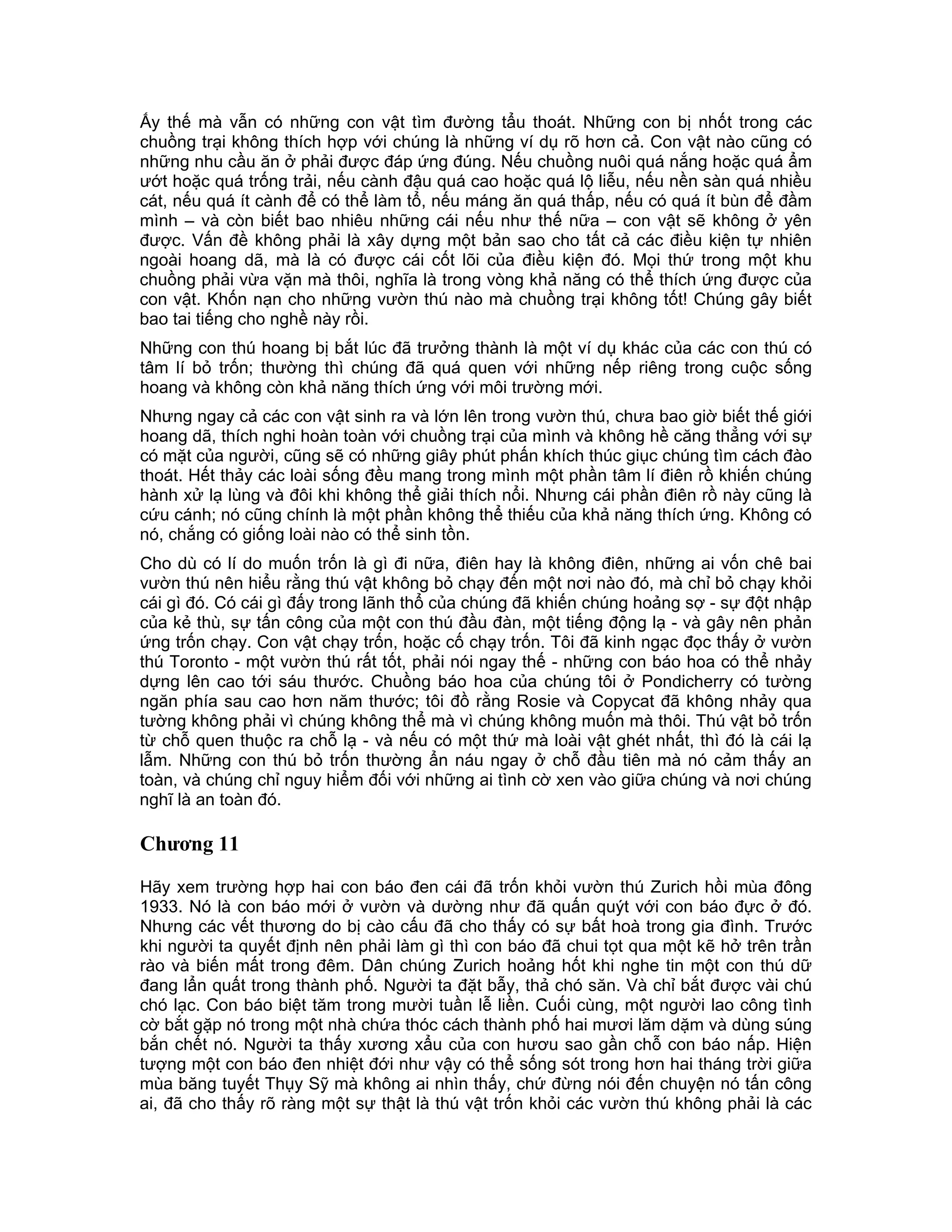 Ấy thế mà vẫn có những con vật tìm đường tẩu thoát. Những con bị nhốt trong các
chuồng trại không thích hợp với chúng là những ví dụ rõ hơn cả. Con vật nào cũng có
những nhu cầu ăn ở phải được đáp ứng đúng. Nếu chuồng nuôi quá nắng hoặc quá ẩm
ướt hoặc quá trống trải, nếu cành đậu quá cao hoặc quá lộ liễu, nếu nền sàn quá nhiều
cát, nếu quá ít cành để có thể làm tổ, nếu máng ăn quá thấp, nếu có quá ít bùn để đầm
mình – và còn biết bao nhiêu những cái nếu như thế nữa – con vật sẽ không ở yên
được. Vấn đề không phải là xây dựng một bản sao cho tất cả các điều kiện tự nhiên
ngoài hoang dã, mà là có được cái cốt lõi của điều kiện đó. Mọi thứ trong một khu
chuồng phải vừa vặn mà thôi, nghĩa là trong vòng khả năng có thể thích ứng được của
con vật. Khốn nạn cho những vườn thú nào mà chuồng trại không tốt! Chúng gây biết
bao tai tiếng cho nghề này rồi.
Những con thú hoang bị bắt lúc đã trưởng thành là một ví dụ khác của các con thú có
tâm lí bỏ trốn; thường thì chúng đã quá quen với những nếp riêng trong cuộc sống
hoang và không còn khả năng thích ứng với môi trường mới.
Nhưng ngay cả các con vật sinh ra và lớn lên trong vườn thú, chưa bao giờ biết thế giới
hoang dã, thích nghi hoàn toàn với chuồng trại của mình và không hề căng thẳng với sự
có mặt của người, cũng sẽ có những giây phút phấn khích thúc giục chúng tìm cách đào
thoát. Hết thảy các loài sống đều mang trong mình một phần tâm lí điên rồ khiến chúng
hành xử lạ lùng và đôi khi không thể giải thích nổi. Nhưng cái phần điên rồ này cũng là
cứu cánh; nó cũng chính là một phần không thể thiếu của khả năng thích ứng. Không có
nó, chắng có giống loài nào có thể sinh tồn.
Cho dù có lí do muốn trốn là gì đi nữa, điên hay là không điên, những ai vốn chê bai
vườn thú nên hiểu rằng thú vật không bỏ chạy đến một nơi nào đó, mà chỉ bỏ chạy khỏi
cái gì đó. Có cái gì đấy trong lãnh thổ của chúng đã khiến chúng hoảng sợ - sự đột nhập
của kẻ thù, sự tấn công của một con thú đầu đàn, một tiếng động lạ - và gây nên phản
ứng trốn chạy. Con vật chạy trốn, hoặc cố chạy trốn. Tôi đã kinh ngạc đọc thấy ở vườn
thú Toronto - một vườn thú rất tốt, phải nói ngay thế - những con báo hoa có thể nhảy
dựng lên cao tới sáu thước. Chuồng báo hoa của chúng tôi ở Pondicherry có tường
ngăn phía sau cao hơn năm thước; tôi đồ rằng Rosie và Copycat đã không nhảy qua
tường không phải vì chúng không thể mà vì chúng không muốn mà thôi. Thú vật bỏ trốn
từ chỗ quen thuộc ra chỗ lạ - và nếu có một thứ mà loài vật ghét nhất, thì đó là cái lạ
lẫm. Những con thú bỏ trốn thường ẩn náu ngay ở chỗ đầu tiên mà nó cảm thấy an
toàn, và chúng chỉ nguy hiểm đối với những ai tình cờ xen vào giữa chúng và nơi chúng
nghĩ là an toàn đó.

Chương 11

Hãy xem trường hợp hai con báo đen cái đã trốn khỏi vườn thú Zurich hồi mùa đông
1933. Nó là con báo mới ở vườn và dường như đã quấn quýt với con báo đực ở đó.
Nhưng các vết thương do bị cào cấu đã cho thấy có sự bất hoà trong gia đình. Trước
khi người ta quyết định nên phải làm gì thì con báo đã chui tọt qua một kẽ hở trên trần
rào và biến mất trong đêm. Dân chúng Zurich hoảng hốt khi nghe tin một con thú dữ
đang lẩn quất trong thành phố. Người ta đặt bẫy, thả chó săn. Và chỉ bắt được vài chú
chó lạc. Con báo biệt tăm trong mười tuần lễ liền. Cuối cùng, một người lao công tình
cờ bắt gặp nó trong một nhà chứa thóc cách thành phố hai mươi lăm dặm và dùng súng
bắn chết nó. Người ta thấy xương xẩu của con hươu sao gần chỗ con báo nấp. Hiện
tượng một con báo đen nhiệt đới như vậy có thể sống sót trong hơn hai tháng trời giữa
mùa băng tuyết Thụy Sỹ mà không ai nhìn thấy, chứ đừng nói đến chuyện nó tấn công
ai, đã cho thấy rõ ràng một sự thật là thú vật trốn khỏi các vườn thú không phải là các
 