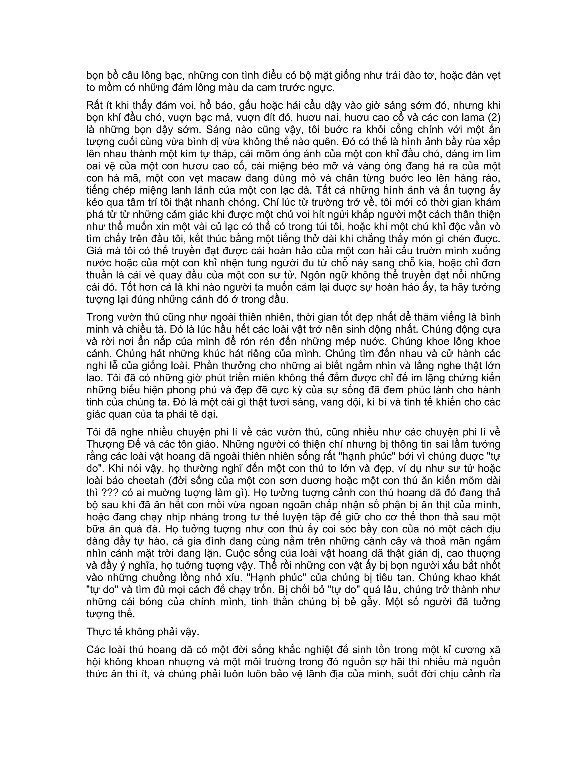 bọn bồ câu lông bạc, những con tình điểu có bộ mặt giống như trái đào tơ, hoặc đàn vẹt
to mồm có những đám lông màu da cam trước ngực.
Rất ít khi thấy đám voi, hổ báo, gấu hoặc hải cẩu dậy vào giờ sáng sớm đó, nhưng khi
bọn khỉ đầu chó, vuợn bạc má, vuợn đít đỏ, huơu nai, huơu cao cổ và các con lama (2)
là những bọn dậy sớm. Sáng nào cũng vậy, tôi buớc ra khỏi cổng chính với một ấn
tượng cuối cùng vừa bình dị vừa không thể nào quên. Đó có thể là hình ảnh bầy rùa xếp
lên nhau thành một kim tự tháp, cái mõm óng ánh của một con khỉ đầu chó, dáng im lìm
oai vệ của một con hươu cao cổ, cái miệng béo mỡ và vàng óng đang há ra của một
con hà mã, một con vẹt macaw đang dùng mỏ và chân từng buớc leo lên hàng rào,
tiếng chép miệng lanh lảnh của một con lạc đà. Tất cả những hình ảnh và ấn tuợng ấy
kéo qua tâm trí tôi thật nhanh chóng. Chỉ lúc từ trường trở về, tôi mới có thời gian khám
phá từ từ những cảm giác khi được một chú voi hít ngửi khắp người một cách thân thiện
như thể muốn xin một vài củ lạc có thể có trong túi tôi, hoặc khi một chú khỉ độc vần vò
tìm chấy trên đầu tôi, kết thúc bằng một tiếng thở dài khi chẳng thấy món gì chén đuợc.
Giá mà tôi có thể truyền đạt được cái hoàn hảo của một con hải cẩu truờn mình xuống
nước hoặc của một con khỉ nhện tung người đu từ chỗ này sang chỗ kia, hoặc chỉ đơn
thuần là cái vẻ quay đầu của một con sư tử. Ngôn ngữ không thể truyền đạt nổi những
cái đó. Tốt hơn cả là khi nào người ta muốn cảm lại đuợc sự hoàn hảo ấy, ta hãy tưởng
tượng lại đúng những cảnh đó ở trong đầu.
Trong vườn thú cũng như ngoài thiên nhiên, thời gian tốt đẹp nhất để thăm viếng là bình
minh và chiều tà. Đó là lúc hầu hết các loài vật trở nên sinh động nhất. Chúng động cựa
và rời nơi ẩn nấp của mình để rón rén đến những mép nuớc. Chúng khoe lông khoe
cánh. Chúng hát những khúc hát riêng của mình. Chúng tìm đến nhau và cử hành các
nghi lễ của giống loài. Phần thưởng cho những ai biết ngắm nhìn và lắng nghe thật lớn
lao. Tôi đã có những giờ phút triền miên không thể đếm được chỉ để im lặng chứng kiến
những biểu hiện phong phú và đẹp đẽ cực kỳ của sự sống đã đem phúc lành cho hành
tinh của chúng ta. Đó là một cái gì thật tươi sáng, vang dội, kì bí và tinh tế khiến cho các
giác quan của ta phải tê dại.
Tôi đã nghe nhiều chuyện phi lí về các vườn thú, cũng nhiều như các chuyện phi lí về
Thượng Đế và các tôn giáo. Những người có thiện chí nhưng bị thông tin sai lầm tưởng
rằng các loài vật hoang dã ngoài thiên nhiên sống rất "hạnh phúc" bởi vì chúng đuợc "tự
do". Khi nói vậy, họ thường nghĩ đến một con thú to lớn và đẹp, ví dụ như sư tử hoặc
loài báo cheetah (đời sống của một con sơn duơng hoặc một con thú ăn kiến mõm dài
thì ??? có ai muờng tuợng làm gì). Họ tưởng tuợng cảnh con thú hoang dã đó đang thả
bộ sau khi đã ăn hết con mồi vừa ngoan ngoãn chấp nhận số phận bị ăn thịt của mình,
hoặc đang chạy nhịp nhàng trong tư thế luyện tập để giữ cho cơ thể thon thả sau một
bữa ăn quá đà. Họ tuởng tuợng như con thú ấy coi sóc bầy con của nó một cách dịu
dàng đầy tự hào, cả gia đình đang cùng nằm trên những cành cây và thoả mãn ngắm
nhìn cảnh mặt trời đang lặn. Cuộc sống của loài vật hoang dã thật giản dị, cao thuợng
và đầy ý nghĩa, họ tuởng tuợng vậy. Thế rồi những con vật ấy bị bọn người xấu bắt nhốt
vào những chuồng lồng nhỏ xíu. "Hạnh phúc" của chúng bị tiêu tan. Chúng khao khát
"tự do" và tìm đủ mọi cách để chạy trốn. Bị chối bỏ "tự do" quá lâu, chúng trở thành như
những cái bóng của chính mình, tinh thần chúng bị bẻ gẫy. Một số người đã tuởng
tượng thế.
Thực tế không phải vậy.
Các loài thú hoang dã có một đời sống khắc nghiệt để sinh tồn trong một kỉ cương xã
hội không khoan nhuợng và một môi truờng trong đó nguồn sợ hãi thì nhiều mà nguồn
thức ăn thì ít, và chúng phải luôn luôn bảo vệ lãnh địa của mình, suốt đời chịu cảnh rỉa
 