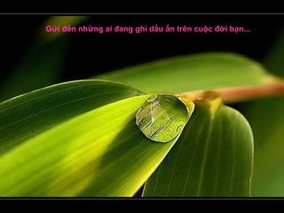 Gửi đến những ai đang ghi dấu ấn trên cuộc đời bạn... 