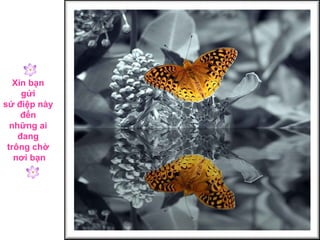 Xin bạn  gửi  sứ điệp này  đến  những ai  đang  trông chờ  nơi bạn 