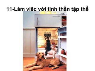 11-Làm việc với tinh thần tập thể
 