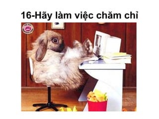 16-Hãy làm việc chăm chỉ
 
