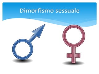 Il cuore delle donne