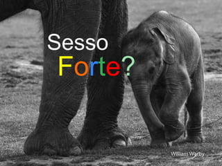Sesso 
Forte? 
William Warby 
 