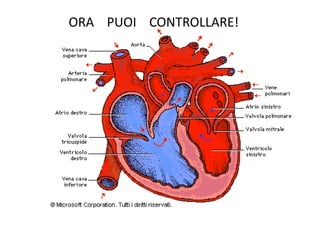 ORA PUOI CONTROLLARE!
 