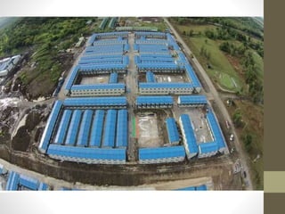 C UPDATES on the Referral System of Mega DATRC.pptx