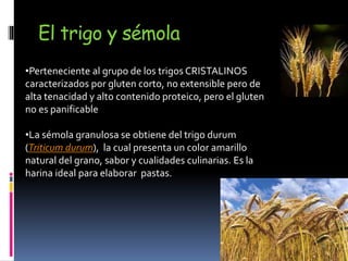 El trigo y sémola
•Perteneciente al grupo de los trigos CRISTALINOS
caracterizados por gluten corto, no extensible pero de
alta tenacidad y alto contenido proteico, pero el gluten
no es panificable
•La sémola granulosa se obtiene del trigo durum
(Triticum durum), la cual presenta un color amarillo
natural del grano, sabor y cualidades culinarias. Es la
harina ideal para elaborar pastas.
 