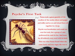P s y c h e ’ s F i r s t Ta s k 
Venus took a great quantity of the 
smallest of the seeds; wheat and poppy 
and millet and so on and mixed them all 
together in a heap. 
Psyche was heartbroken and could not 
start her task, but a group of ants 
performed the task for her. And mass 
lay all ordered, every seed with its kind. 
This was what Venus found when she 
came back, and very angry she was to 
see it. 
 