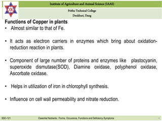 Functions and deficiency symptoms of copper and chlorine in plants 