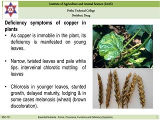 Functions and deficiency symptoms of copper and chlorine in plants 