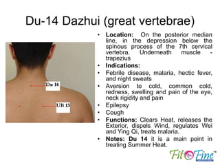 Du-14 Dazhui (great vertebrae)
• Location: On the posterior median
line, in the depression below the
spinous process of the 7th cervical
vertebra. Underneath muscle -
trapezius
• Indications:
• Febrile disease, malaria, hectic fever,
and night sweats
• Aversion to cold, common cold,
redness, swelling and pain of the eye,
neck rigidity and pain
• Epilepsy
• Cough
• Functions: Clears Heat, releases the
Exterior, dispels Wind, regulates Wei
and Ying Qi, treats malaria.
• Notes: Du 14 it is a main point in
treating Summer Heat.
 