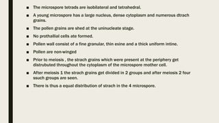 ■ The microspore tetrads are isobilateral and tetrahedral.
■ A young microspore has a large nucleus, dense cytoplasm and numerous dtrach
grains.
■ The pollen grains are shed at the uninucleate stage.
■ No prothallial cells ate formed.
■ Pollen wall consist of a fine granular, thin exine and a thick uniform intine.
■ Pollen are non-winged
■ Prior to meiosis , the strach grains which were present at the periphery get
distrubuted throughout the cytoplasm of the microspore mother cell.
■ After meiosis 1 the strach grains get divided in 2 groups and after meiosis 2 four
ssuch groups are seen.
■ There is thus a equal distribution of strach in the 4 microspore.
 