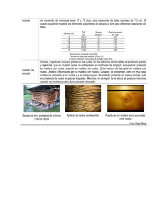 secado de contenido de humedad entre 17 y 75 días, para espesores de tabla menores de 7,5 cm. El
cuadro siguiente muestra los diferentes parámetros de secado al aire para diferentes espesores de
tabla.
*Contenido de humedad inicial (CHi).
**Número de días para alcanzar 20% en CH.
Ensayos realizados en la ciudad de Cartago-Costa Rica.
Espesor (cm)
CHi*
(%)
Número
de días**
Razón de secado
(% / día)
1,2 100,18 17 4,72
2,5 102,80 32 2,59
3,8 111,03 39 2,33
5,0 80,00 45 1,77
6,2 102,78 75 1,10
7,5 79,24 70 0,85
Calidad del
secado
Grietas y rajaduras: produce grietas en los nudos. En los extremos de las tablas se producen grietas
y rajaduras, que en muchos casos no sobrepasan el centímetro de longitud. Arqueadura: presente
en madera con nudos, ausente en madera sin nudos.. Encorvadura: es frecuente en madera con
nudos. Alabeo: influenciado por la madera con nudos. Colapso: se presentan, pero en muy baja
incidencia, asociado a los nudos y a la madera joven. Acanalado: presente en piezas anchas, solo
en presencia de nudos en piezas angostas. Manchas: en la región de la albura se produce manchas
cuando hay incidencia de la lluvia durante el secado.
Secado al aire, protegido de la lluvia
y de los rayos
Apilado de tablas sin desorillar Rajaduras en madera seca asociadas
a los nudos
Fotos: Róger Moya
 