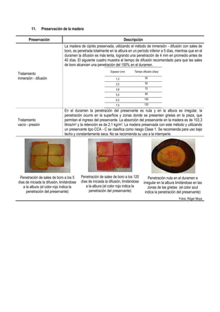 11. Preservación de la madera
Preservación Descripción
Tratamiento
Inmersión - difusión
La madera de ciprés preservada, utilizando el método de inmersión - difusión con sales de
boro, es penetrada totalmente en la albura en un período inferior a 5 días, mientras que en el
duramen la difusión es más lenta, logrando una penetración de 4 mm en promedio antes de
40 días. El siguiente cuadro muestra el tiempo de difusión recomendado para que las sales
de boro alcancen una penetración del 100% en el duramen.
Espesor (cm) Tiempo difusión (días)
1,2 50
2,5 55
3,8 70
5,0 85
6,2 100
7,5 120
Tratamiento
vacío - presión
En el duramen la penetración del preservante es nula y en la albura es irregular, la
penetración ocurre en la superficie y zonas donde se presenten grietas en la pieza, que
permitan el ingreso del preservante. La absorción del preservante en la madera es de 103,3
litros/m3 y la retención es de 2,1 kg/m3. La madera preservada con este método y utilizando
un preservante tipo CCA - C se clasifica como riesgo Clase 1. Se recomienda para uso bajo
techo y constantemente seca. No se recomienda su uso a la intemperie.
Penetración de sales de boro a los 5
días de iniciada la difusión, limitándose
a la albura (el color rojo indica la
penetración del preservante)
Penetración de sales de boro a los 120
días de iniciada la difusión, limitándose
a la albura (el color rojo indica la
penetración del preservante)
Penetración nula en el duramen e
irregular en la albura limitándose en las
zonas de las grietas (el color azul
indica la penetración del preservante)
Fotos: Róger Moya
 