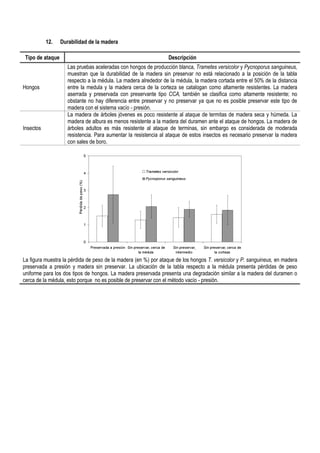 12. Durabilidad de la madera
Tipo de ataque Descripción
Hongos
Las pruebas aceleradas con hongos de producción blanca, Trametes versicolor y Pycnoporus sanguineus,
muestran que la durabilidad de la madera sin preservar no está relacionado a la posición de la tabla
respecto a la médula. La madera alrededor de la médula, la madera cortada entre el 50% de la distancia
entre la medula y la madera cerca de la corteza se catalogan como altamente resistentes. La madera
aserrada y preservada con preservante tipo CCA, también se clasifica como altamente resistente; no
obstante no hay diferencia entre preservar y no preservar ya que no es posible preservar este tipo de
madera con el sistema vacío - presión.
Insectos
La madera de árboles jóvenes es poco resistente al ataque de termitas de madera seca y húmeda. La
madera de albura es menos resistente a la madera del duramen ante el ataque de hongos. La madera de
árboles adultos es más resistente al ataque de terminas, sin embargo es considerada de moderada
resistencia. Para aumentar la resistencia al ataque de estos insectos es necesario preservar la madera
con sales de boro.
La figura muestra la pérdida de peso de la madera (en %) por ataque de los hongos T. versicolor y P. sanguineus, en madera
preservada a presión y madera sin preservar. La ubicación de la tabla respecto a la médula presenta pérdidas de peso
uniforme para los dos tipos de hongos. La madera preservada presenta una degradación similar a la madera del duramen o
cerca de la médula, esto porque no es posible de preservar con el método vacío - presión.
 