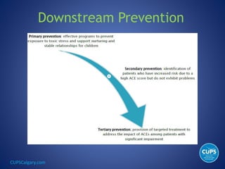 CUPSCalgary.com
Downstream Prevention
 