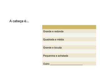 A cabeça é...


                Grande e redonda


                Quadrada e média


                Grande e bicuda


                Pequenina e achatada


                Outro __________________________
 