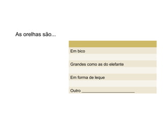 As orelhas são...


                    Em bico


                    Grandes como as do elefante


                    Em forma de leque


                    Outro __________________________
 