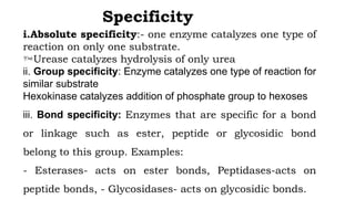 Absolute Specificity Example CUR-PH Enzymes.pptx self individual work | PPTX