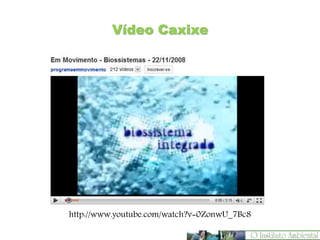Vídeo Caxixe
http://www.youtube.com/watch?v=0ZonwU_7Bc8
 