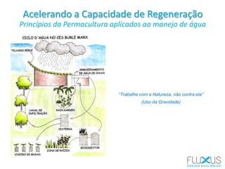Acelerando a Capacidade de Regeneração
Princípios da Permacultura aplicados ao manejo de água
“Trabalhe com a Natureza, não contra ela”
(Uso da Gravidade)
 