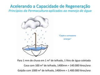 Para 1 mm de chuva em 1 m² de telhado, 1 litro de água coletada
Casa com 100 m² de telhado, 1400mm = 140.000 litros/ano
Galpão com 1000 m² de telhado, 1400mm = 1.400.000 litros/ano
Acelerando a Capacidade de Regeneração
Princípios da Permacultura aplicados ao manejo de água
“Capte e armazene
energia”
 