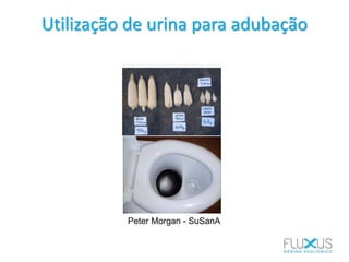 Utilização de urina para adubação
Peter Morgan - SuSanA
 